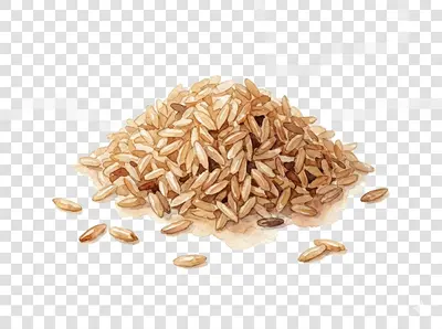 Rice