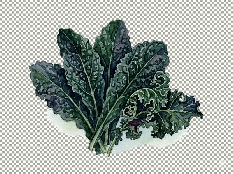 Kale