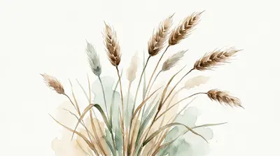 Timothy Hay
