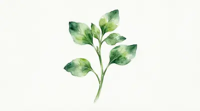 Watercress